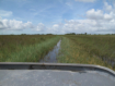 Homestead - Everglades Alligator Farm - Airboat Tour