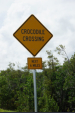 Florida - Vorsicht Krokodile