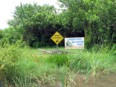Homestead - Everglades Alligator Farm