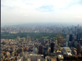 Helikopter-Flug ber Manhattan - Central Park