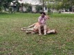 Estancia El Ombu de Areco - Pferdeflsterer