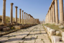 Jerash - Cardo Maximus