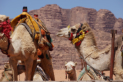Wadi Rum