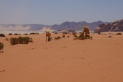 Wadi Rum