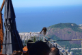Corcovado