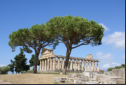 Paestum - Tempio di Cerere