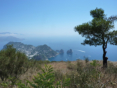 Capri - Blick vom Montesolaro auf die Faraglioni