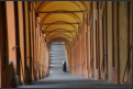 Santuario della Madonna di San Luca