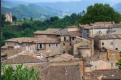 Urbino