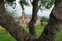 Urbino