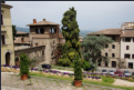 Todi