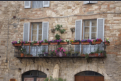 Todi