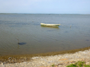 Camargue