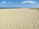 Leucate