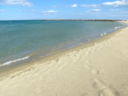 Leucate
