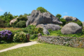 Ploumanach - Granitkste