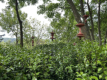 Les Jardins d tretat