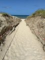 Utah-Beach (D-Day-Landungsstrand)