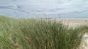 Strand in der Nhe von Sainte-Mre-glise