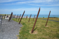 Arromanches-les-Bains - Garten der Erinnerung