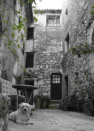 Saint Paul de Vence