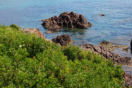 Corniche dOr