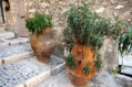Saint Paul de Vence
