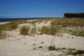 Plage de la Lagune