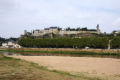 Chinon