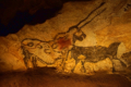 Hhle von Lascaux 