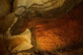Hhle von Lascaux 
