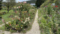 Giverny - Haus und Garten von Claude Monet