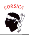 Der Mohrenkopf - Ein Symbol Korsikas