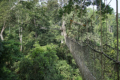 Kakum-Nationalpark