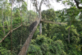Kakum-Nationalpark