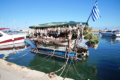Chania - Venezianischer Hafen