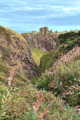 Dunnottar Castle