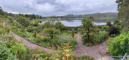 Inverewe Garden 