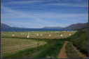 Landschaft in der Nhe  von Akureyri