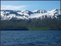 Husavik - Walbeobachtungsfahrt