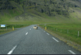 Vorsicht: Wilde Tiere