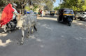 Chittorgarh