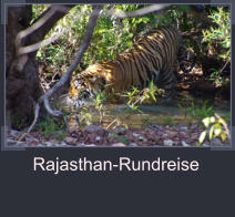 Rajasthan-Rundreise