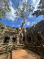 Ta Prohm Tempel