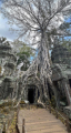 Ta Prohm Tempel