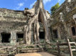 Ta Prohm Tempel