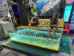 Siem Reap - Fish Spa