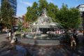 Dogs Fontaine