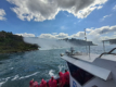 Hornblower Niagara Cruises - Mit dem Boot hinein in die Gischt der Wasserflle