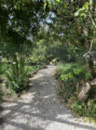 Botanischer Garten